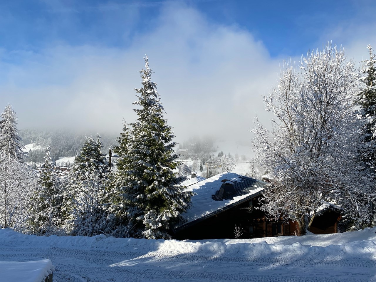 Out/Winter/OutW3.jpg