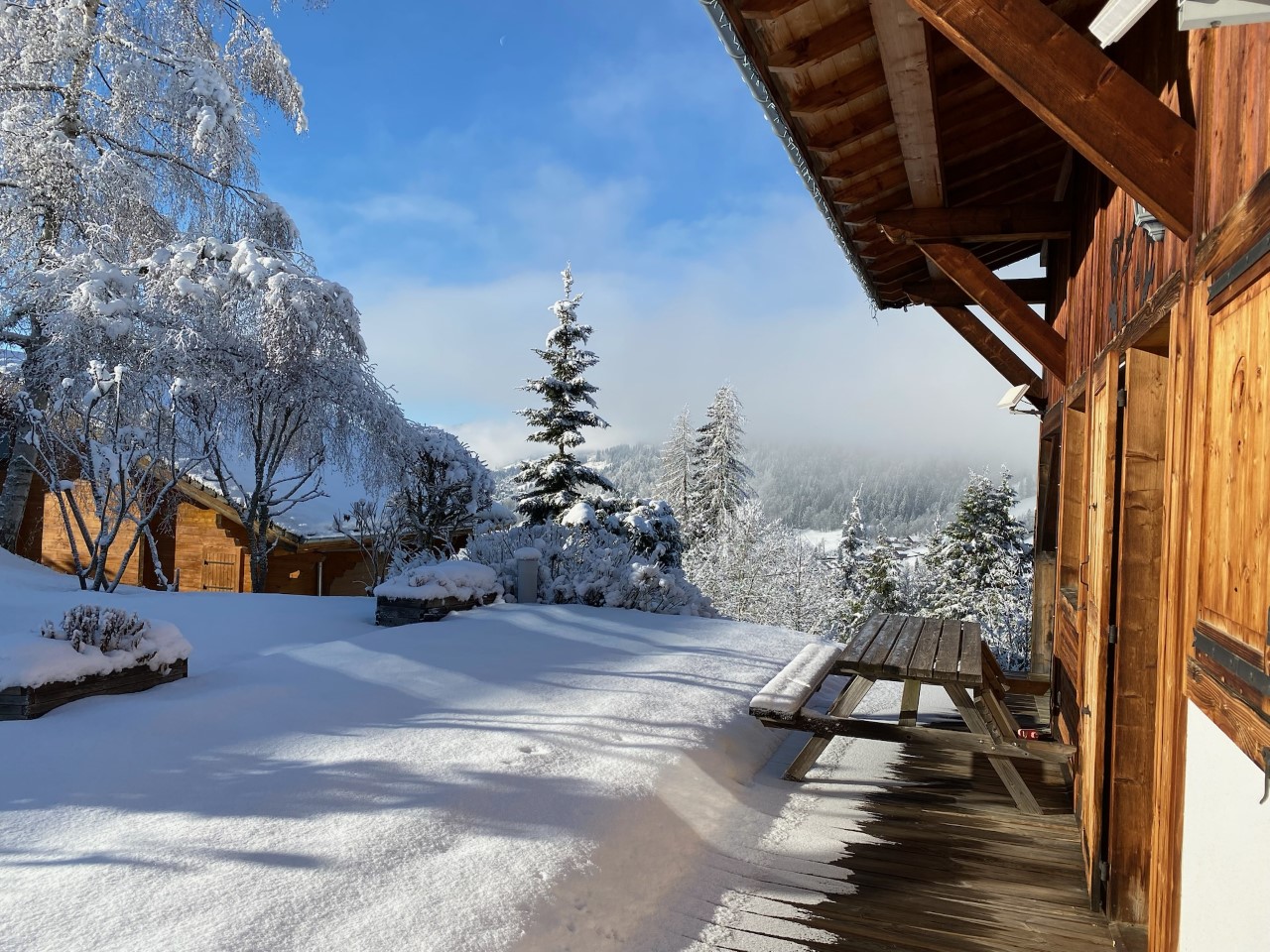 Out/Winter/OutW4.jpg