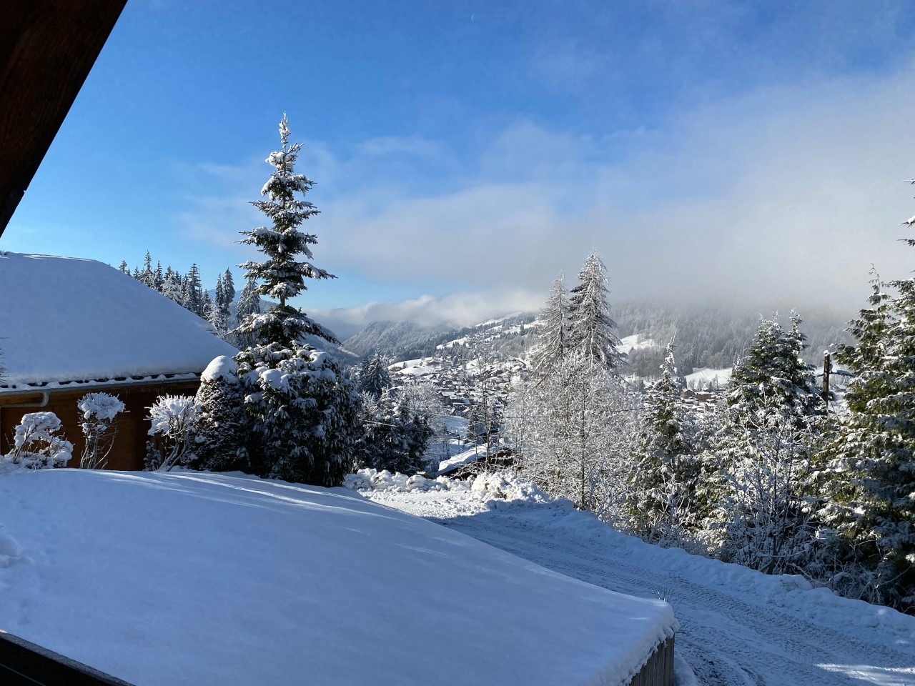 Out/Winter/OutW11.jpg